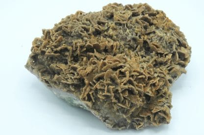 Barytine pseudomorphosée en Quartz, Bois Renard, Voltennes, Saône et Loire.