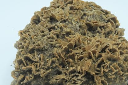 Barytine pseudomorphosée en Quartz, Bois Renard, Voltennes, Saône et Loire.