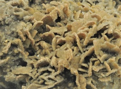 Barytine pseudomorphosée en Quartz, Bois Renard, Voltennes, Saône et Loire.