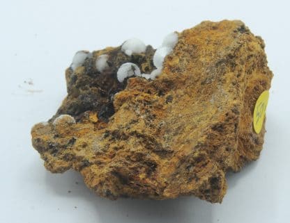 Hémimorphite, Le Rivet, Montredon, Peyrebrune, Tarn.