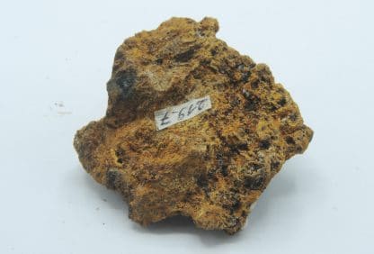 Hémimorphite, Le Rivet, Montredon, Peyrebrune, Tarn.