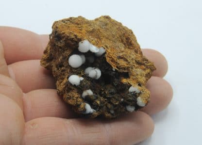 Hémimorphite, Le Rivet, Montredon, Peyrebrune, Tarn.