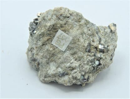 Arsénopyrite, La Brûlée, Saint-Prix, Saône-et-Loire, Morvan.