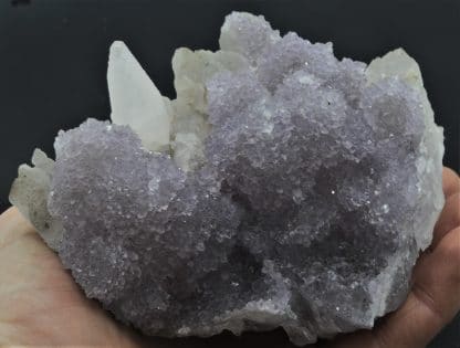 Quartz Améthyste et Calcite, Brésil.