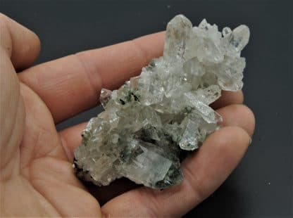 Quartz chloriteux et Sidérite, Grand Pic de la Lauzière, Savoie.