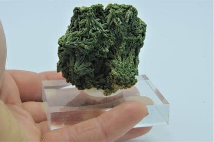 Pyromorphite, Mine des Farges, Ussel, Corrèze. – Image 7