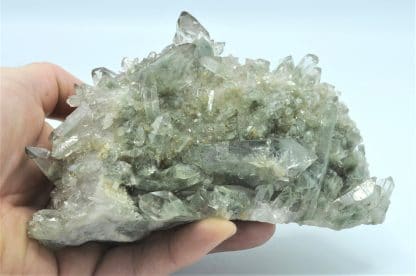 Quartz chloriteux, Sommet du Grand Pic de la Lauzière, Savoie.