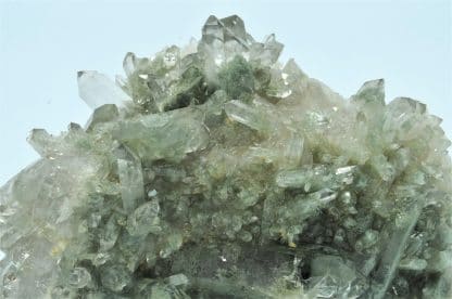 Quartz chloriteux, Sommet du Grand Pic de la Lauzière, Savoie.