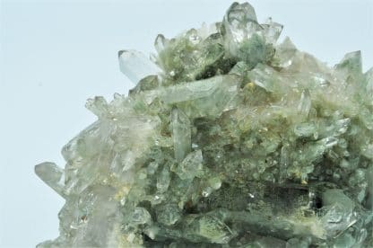 Quartz chloriteux, Sommet du Grand Pic de la Lauzière, Savoie.