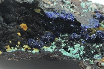 Azurite, Le Moulinal, Paulinet, Tarn.