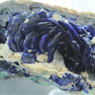 Azurite, Le Moulinal, Paulinet, Tarn.