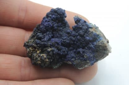 Azurite, Le Moulinal, Paulinet, Tarn.