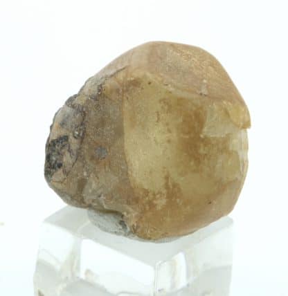 Labradorite gemme, Le Monastier-sur-Gazeilles, Haute-Loire.