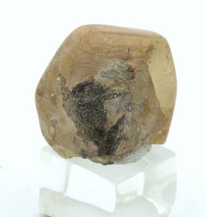 Labradorite gemme, Le Monastier-sur-Gazeilles, Haute-Loire.