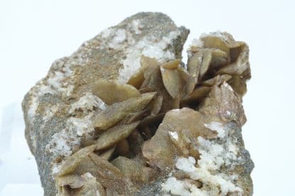 Sidérite en pétales et quartz, La Mure, Plateau Matheysin, Isère.