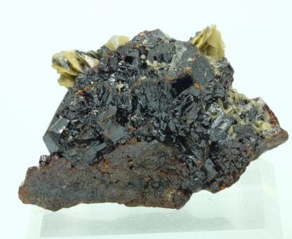 Sphalérite (Blende) et Sidérite, La Mure, Isère.