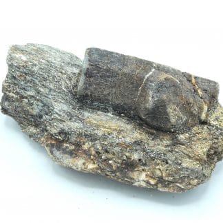 Staurolite en macle de Saint André, Coray - Scaër, Finistère, Bretagne.