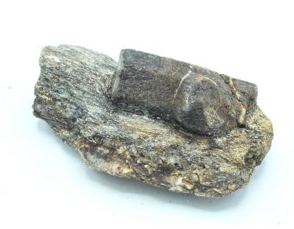 Staurolite en macle de Saint André, Coray - Scaër, Finistère, Bretagne.