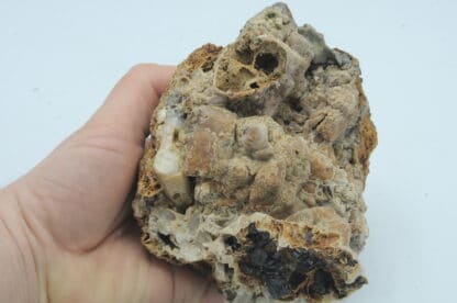 Sphalérite (blende) et pseudomorphose de Smithsonite, Vaulnaveys, Isère.