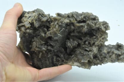 Barytine et Pyrite, Les Sausses, Chavaniac-Lafayette, Haute-Loire.