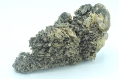 Barytine et Pyrite, Les Sausses, Chavaniac-Lafayette, Haute-Loire.