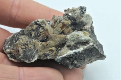 Chondrotite, Brewster, New-York, USA. – Image 7