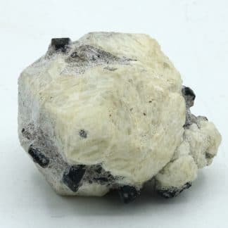 Leucite et augite, Roccamonfina, Caserte, Campanie, Italie.