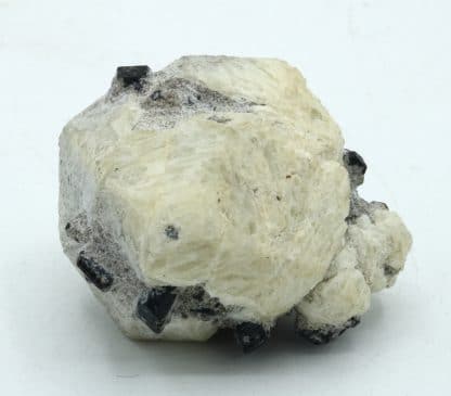 Leucite et augite, Roccamonfina, Caserte, Campanie, Italie.