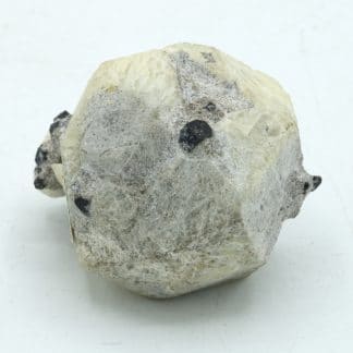 Leucite et augite, Roccamonfina, Caserte, Campanie, Italie.