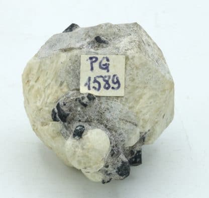 Leucite et augite, Roccamonfina, Caserte, Campanie, Italie.