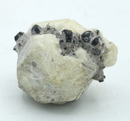 Leucite et augite, Roccamonfina, Caserte, Campanie, Italie.