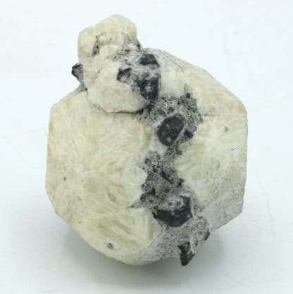 Leucite et augite, Roccamonfina, Caserte, Campanie, Italie.