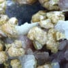 Pyromorphite sur Quartz, Les Farges, Ussel, Corrèze.