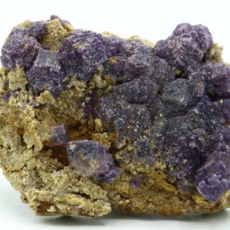 Fluorite violette de Foisches, Givet, Ardennes, Grand Est.