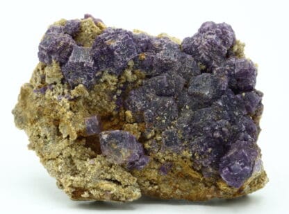 Fluorite violette de Foisches, Givet, Ardennes, Grand Est.
