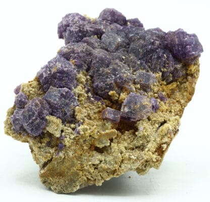 Fluorite violette de Foisches, Givet, Ardennes, Grand Est.