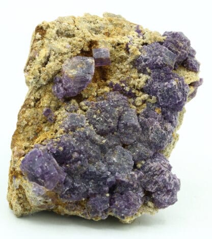 Fluorite violette de Foisches, Givet, Ardennes, Grand Est.