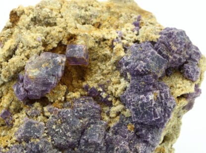 Fluorite violette de Foisches, Givet, Ardennes, Grand Est.