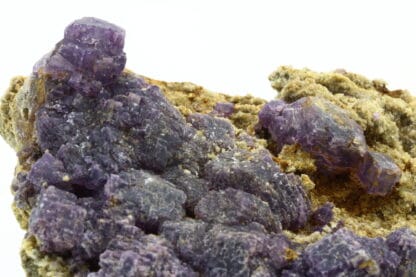 Fluorite violette de Foisches, Givet, Ardennes, Grand Est.