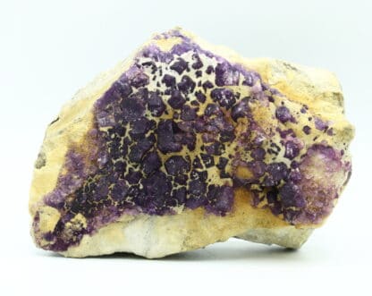 Fluorite violette, Bois-le-Duc, Foisches, Pointe de Givet, Ardennes.