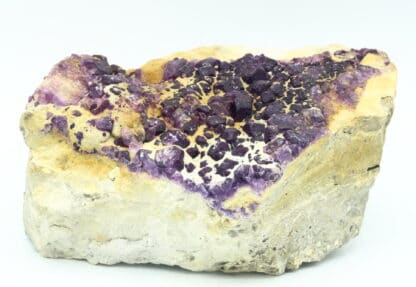 Fluorite violette, Bois-le-Duc, Foisches, Pointe de Givet, Ardennes.