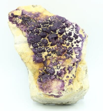 Fluorite violette, Bois-le-Duc, Foisches, Pointe de Givet, Ardennes.