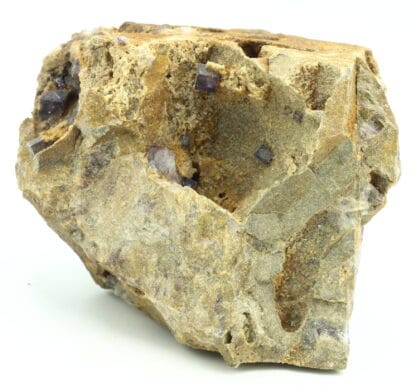 Fluorite dans quartzite, mine de Rancennes, Fromelennes, Ardennes.