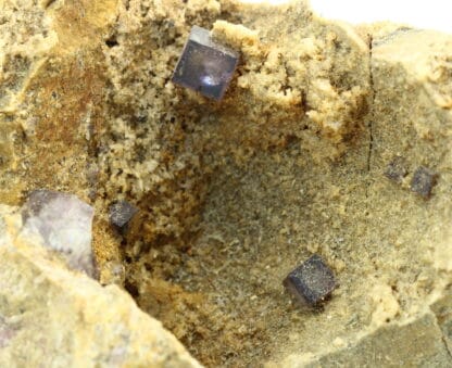 Fluorite dans quartzite, mine de Rancennes, Fromelennes, Ardennes.