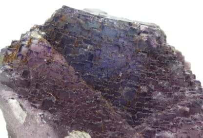 Cristal de fluorite violette, mine de Rancennes, Ardennes.