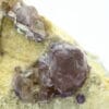 Fluorite rosée, Bois-le-Duc, Foisches, Pointe de Givet, Ardennes.