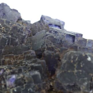 Fluorite polysynthétique violette, mine de Rancennes, Ardennes.