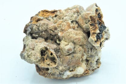 Sphalérite (blende) et pseudomorphose de Smithsonite, Vaulnaveys, Isère.