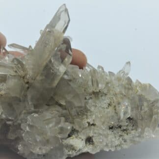 Quartz fumé, Lac Blanc, Alpe d’Huez, Oisans, Isère.