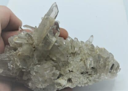 Quartz fumé, Lac Blanc, Alpe d’Huez, Oisans, Isère.